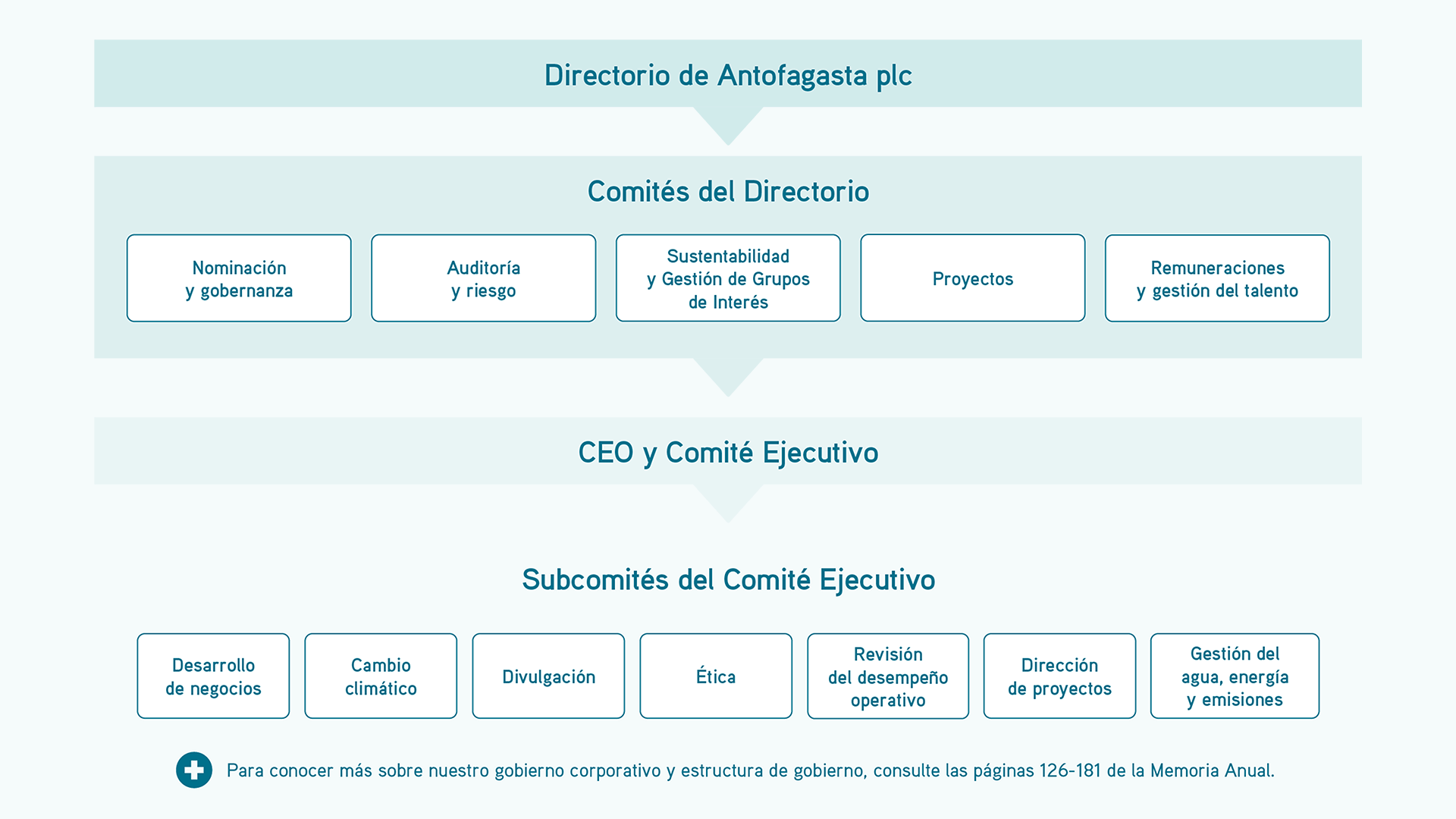 Governance Structure image